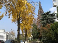 -南京航空航天大学(明故宫校区)