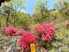 -木兰云雾山