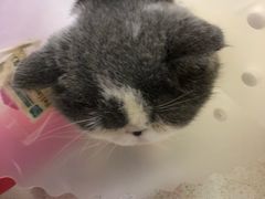 -美联众合动物医院·24h京西诊疗中心