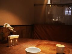 -来龙里 精致 东南亚餐室(万象城店)
