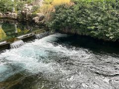 -趵突泉景区