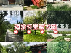 -元大都城垣遗址公园