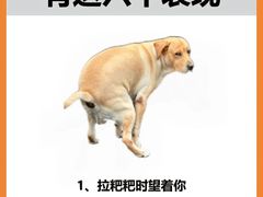 -唐小姐の猫狗洗护·购宠旗舰店(周浦万达店)