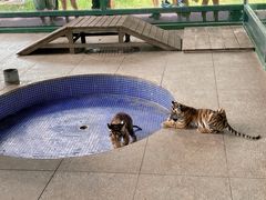 -秦皇岛野生动物园