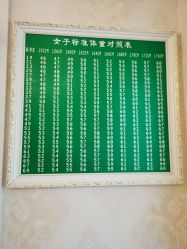 -香薇妮丝女子减肥院