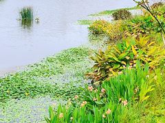 -枫香湖儿童公园