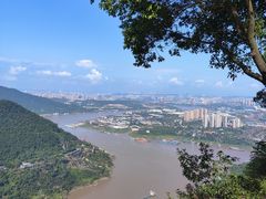 -铁山坪森林公园