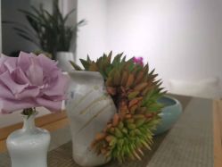 -翎兰瑜伽·普拉提