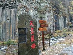 -望天鹅景区