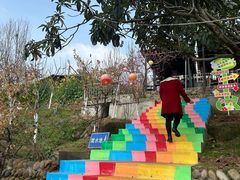 -桃源山庄·水蜜桃采摘·柴火鸡·烧烤团建(龙泉山店)