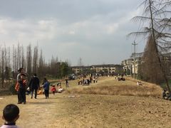 -两河城市森林公园