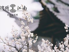 -白马涧龙池景区