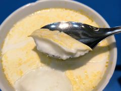 -德禄酸奶(莫家街店)