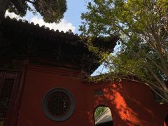 -洛阳白马寺
