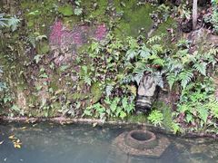 -十八棵（老龙井）御茶园(老龙井店)