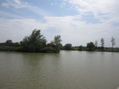 -大湾区中央湿地公园
