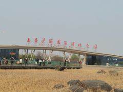 -西安浐灞国家湿地公园