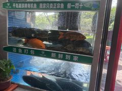 -全乐鱼馆·淳牌有机鱼直营店