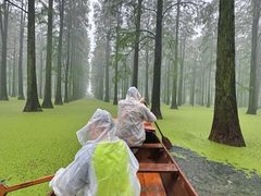 -渌洋湖湿地公园