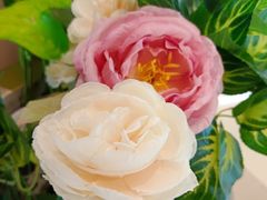 -布吉佳兆业广场