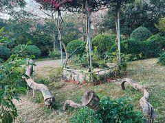 -东莞植物园