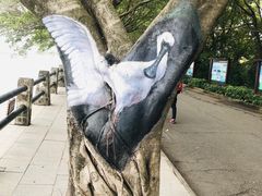 -大湾区中央湿地公园
