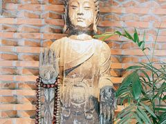 -Local泰莲庭(虹鳟鱼店)