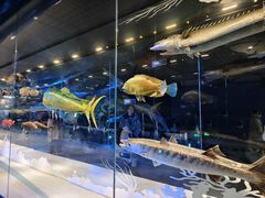 -国家自然博物馆