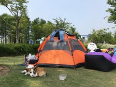 -上海长兴岛郊野公园