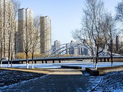 -长白岛森林公园