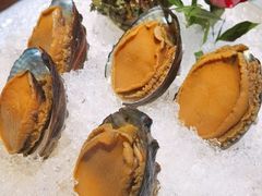 手工冰镇鲍鱼-木棉·醉心粤味(COCO Park店)