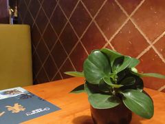 -绿茵阁牛扒餐厅(客村店)