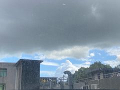 -野妹经典火锅(民治店)