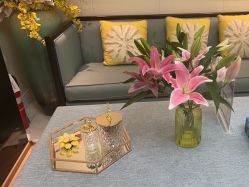 -静博士·养生养颜