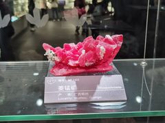 -中国地质博物馆