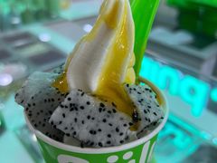 -Salud撒露欧洲冻酸奶(五道口购物中心店)