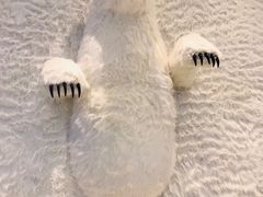 -Mr·Kuma酷么先生雪之乐园