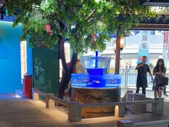 -佬麻雀·剁椒鱼头(京基KK One店)