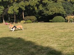 -杭州城北体育公园