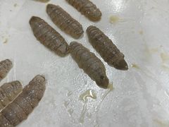 -荔城生鲜盛宴(番禺旗舰店)
