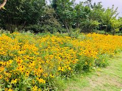 -济南国际园博园