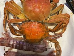 -半岛听涛蒸汽海鲜自助(K11店)