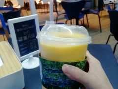 -野萃山·潮汕厚果汁(十亩地店)
