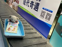 -丽江三义国际机场