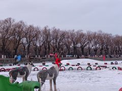 -北陵公园