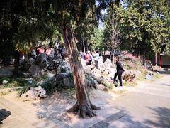 -南阳卧龙岗武侯祠