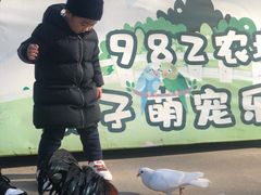 -1982农场
