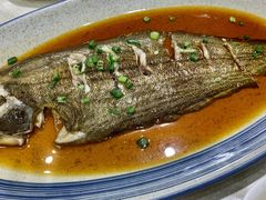 双秃鱼-好兄弟郭巨海鲜(天一阁店)