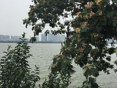 -艾溪湖湿地公园