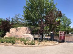 -大兴滨河森林公园